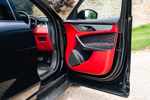 Lister Stealth — Door open — the red reveal